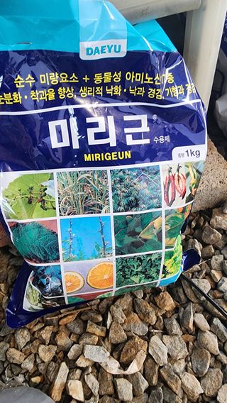 준우아빠님의 오이 · 영농일지 작성글 사진