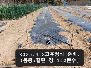 박성민님의 기타작물 · 영농일지 작성글 사진