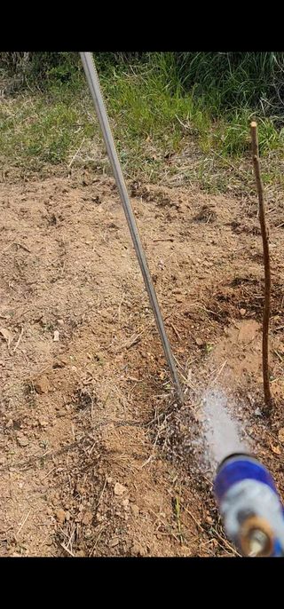 박은희님의 감 · 영농일지 작성글 사진