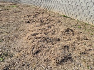 만대산후손님의 기타작물 · 영농일지 작성글 사진