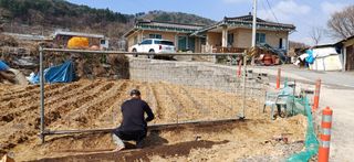 산골마님님의 기타작물 · 영농일지 작성글 사진