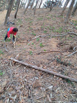 혜공 도봉현님의 기타작물 · 영농일지 작성글 사진