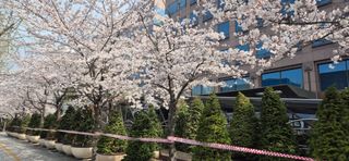 한성훈님의 벼 · 영농일지 작성글 사진