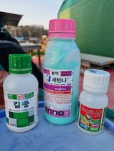 팜모닝 기타작물·영농일지 게시글 이미지