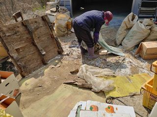 단감당감님의 기타작물 · 영농일지 작성글 사진