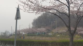 이경옥님의 기타작물 · 영농일지 작성글 사진