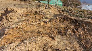 산그린약초농원님의 기타작물 · 영농일지 작성글 사진