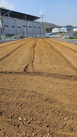 이순정님의 기타작물 · 영농일지 작성글 사진