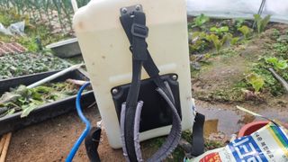 김윤회님의 양파 · 영농일지 작성글 사진