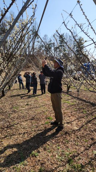 김준한님의 기타작물 · 영농일지 작성글 사진