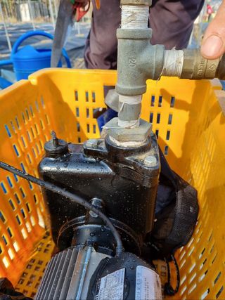 이경옥님의 기타작물 · 영농일지 작성글 사진