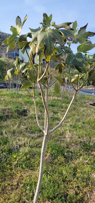 박종화님의 기타작물 · 영농일지 작성글 사진