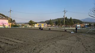 김남근님의 감자 · 영농일지 작성글 사진