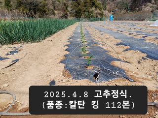 박성민님의 기타작물 · 영농일지 작성글 사진