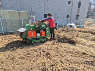 만대산후손님의 기타작물 · 영농일지 작성글 사진