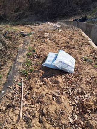 최병우님의 고구마 · 영농일지 작성글 사진