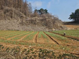 함영동님의 기타작물 · 영농일지 작성글 사진