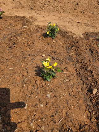 류승원님의 기타작물 · 영농일지 작성글 사진