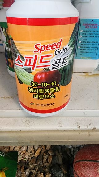 준우아빠님의 오이 · 영농일지 작성글 사진