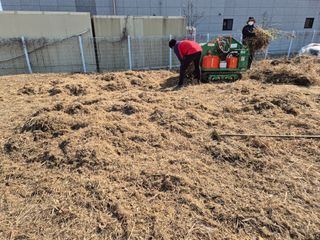 만대산후손님의 기타작물 · 영농일지 작성글 사진