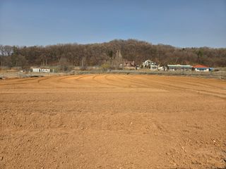 류승원님의 기타작물 · 영농일지 작성글 사진