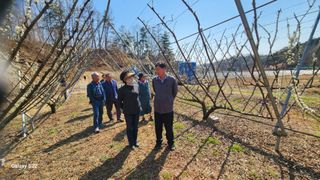 김준한님의 기타작물 · 영농일지 작성글 사진