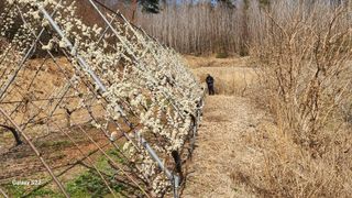 김준한님의 기타작물 · 영농일지 작성글 사진