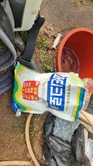 김윤회님의 양파 · 영농일지 작성글 사진