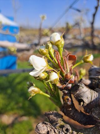 박미스터님의 기타작물 · 영농일지 작성글 사진