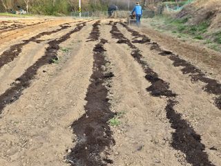노아님의 옥수수 · 영농일지 작성글 사진