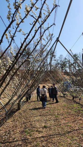 김준한님의 기타작물 · 영농일지 작성글 사진
