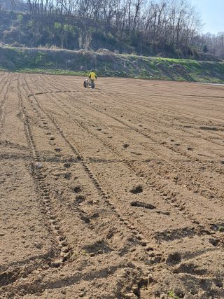좋은인연원님의 파 · 영농일지 작성글 사진