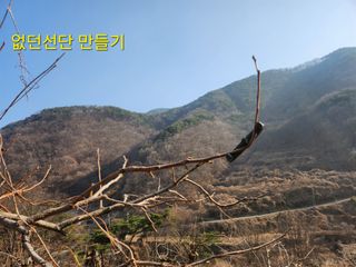 단감당감님의 감 · 영농일지 작성글 사진