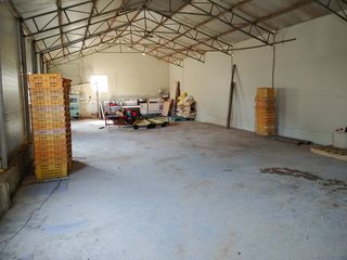 단감당감님의 기타작물 · 영농일지 작성글 사진