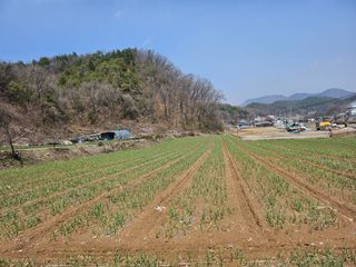 함영동님의 기타작물 · 영농일지 작성글 사진