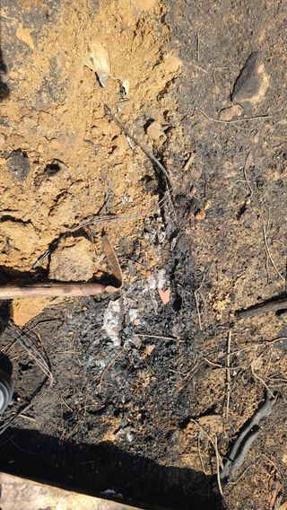 이동걸님의 두릅 · 영농일지 작성글 사진