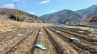 이순기님의 기타작물 · 영농일지 작성글 사진