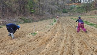 김남근님의 파 · 영농일지 작성글 사진
