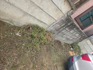 김영복 19146님의 기타작물 · 영농일지 작성글 사진