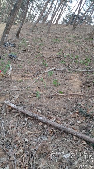 혜공 도봉현님의 기타작물 · 영농일지 작성글 사진