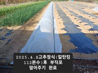 박성민님의 기타작물 · 영농일지 작성글 사진