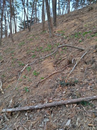 혜공 도봉현님의 기타작물 · 영농일지 작성글 사진
