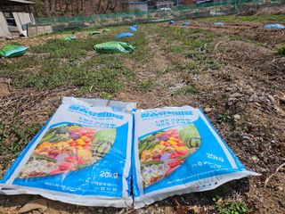 경달현님의 고추 · 영농일지 작성글 사진