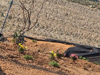 류승원님의 기타작물 · 영농일지 작성글 사진