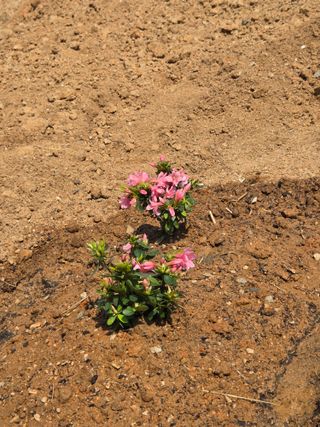 류승원님의 기타작물 · 영농일지 작성글 사진