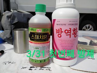 단감당감님의 감 · 영농일지 작성글 사진