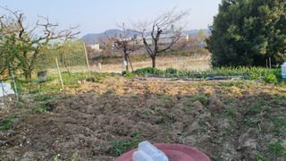 괴동조합장님의 파 · 영농일지 작성글 사진