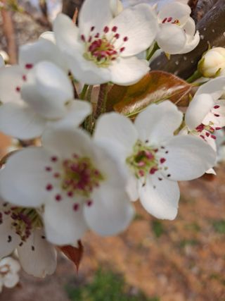 박미스터님의 기타작물 · 영농일지 작성글 사진