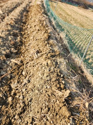  청계유정란 박진균님의 벼 · 영농일지 작성글 사진