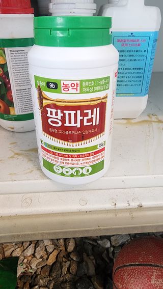 준우아빠님의 오이 · 영농일지 작성글 사진